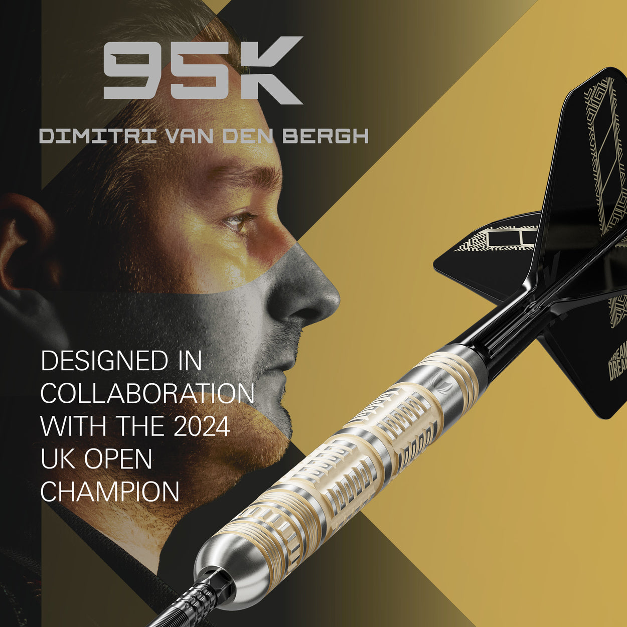 Target Dimitri Van Den Bergh 95K Swiss Point Steeldarts 24G