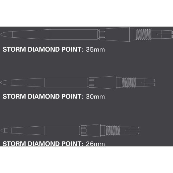 Target Swiss Points Storm Diamond SILVER 30MM