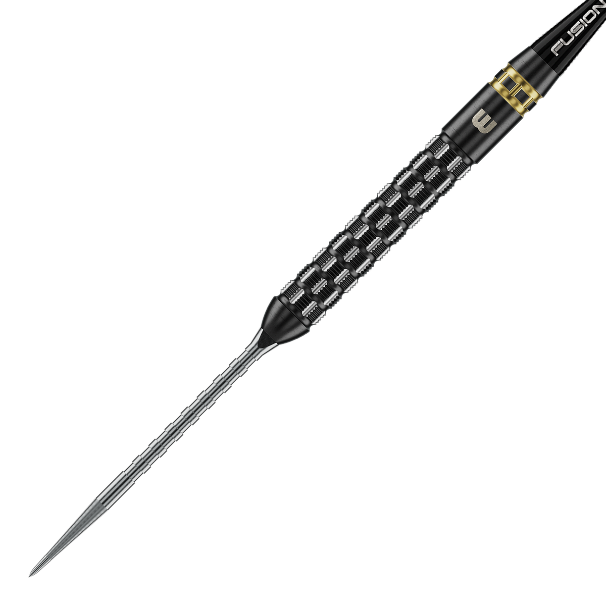 Winmau Gian Van Veen TS-PRO Switch Point Steeldarts 21G
