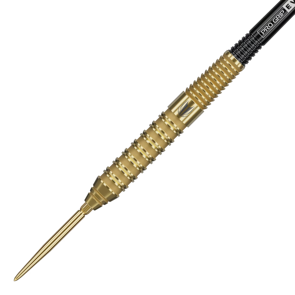 Target Bolide Envy 02 Swiss Point steel darts 24G