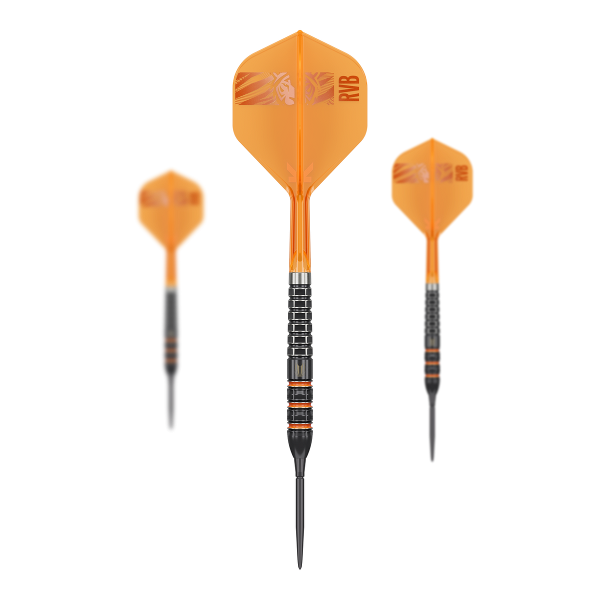 Target Raymond Van Barneveld 95K Swiss Points Steeldarts 23G