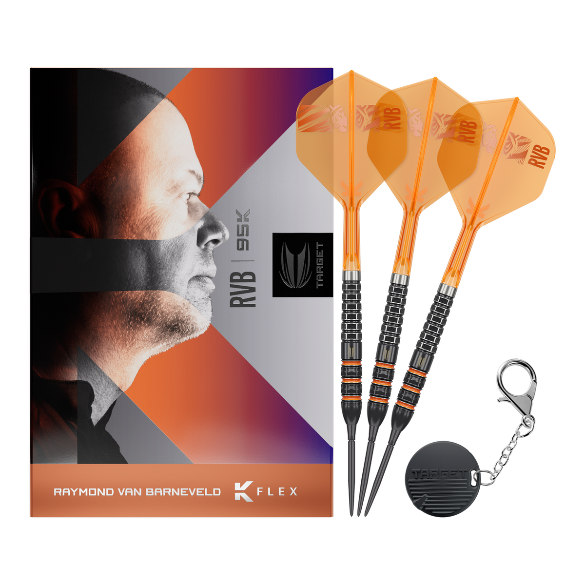 Target Raymond Van Barneveld 95K Swiss Points Steeldarts 23G