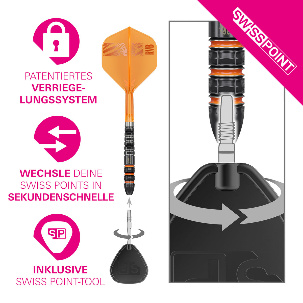 Target Raymond Van Barneveld 95K Swiss Points Steeldarts 23G