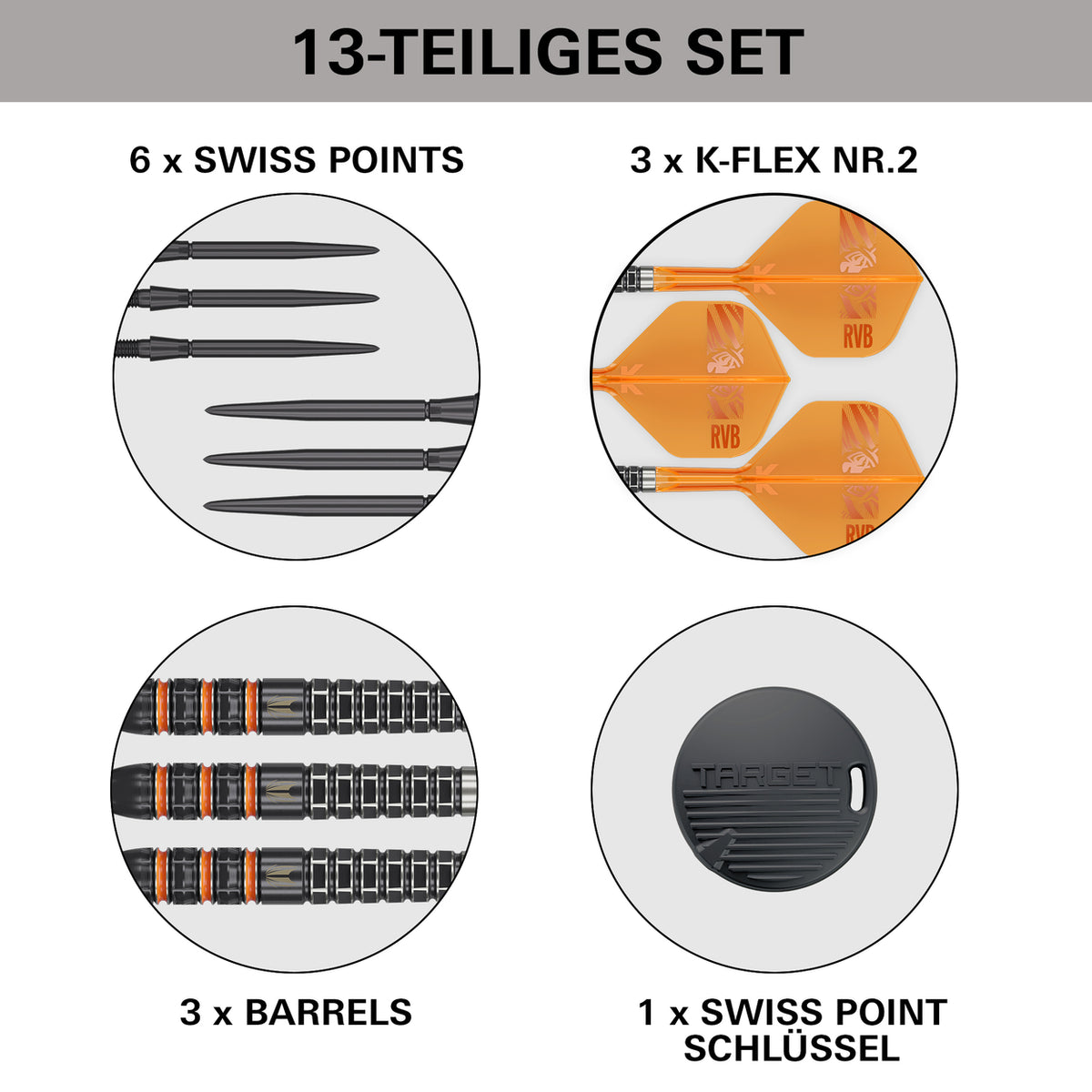 Target Raymond Van Barneveld 95K Swiss Points Steeldarts 23G