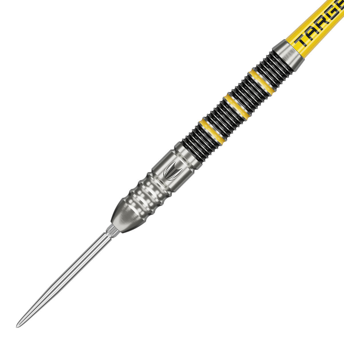 Target Buzz 02 Swiss Points Steeldarts 24G