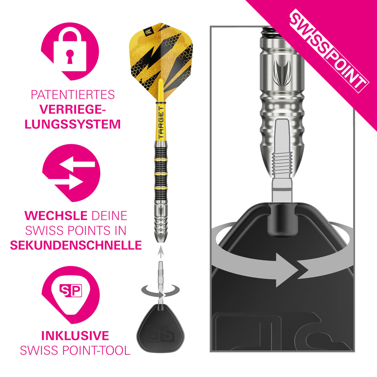 Target Buzz 02 Swiss Points Steeldarts 24G