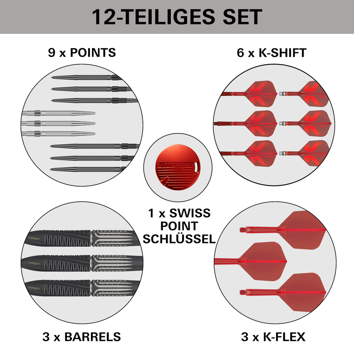 Target Shift Swiss Point Steeldarts 24G